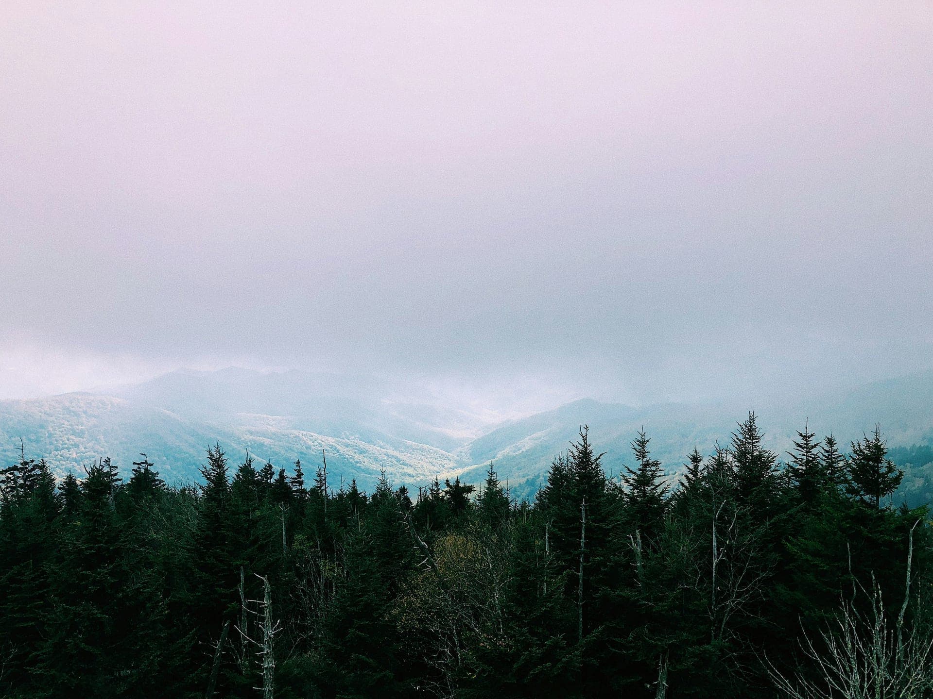 Bryson City, NC
