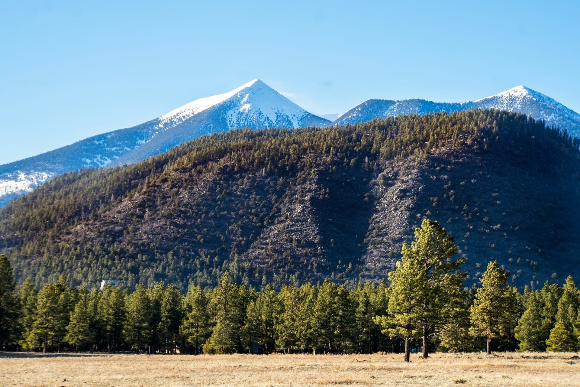 Flagstaff, AZ
