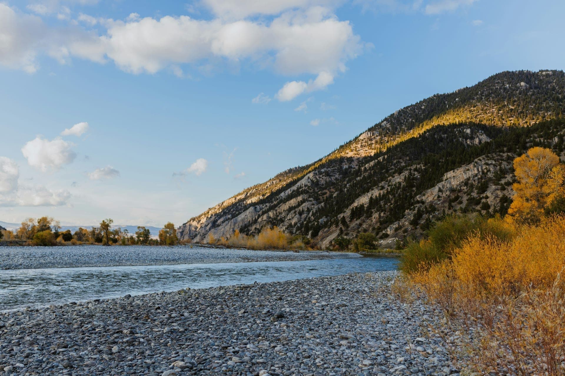 Livingston, MT