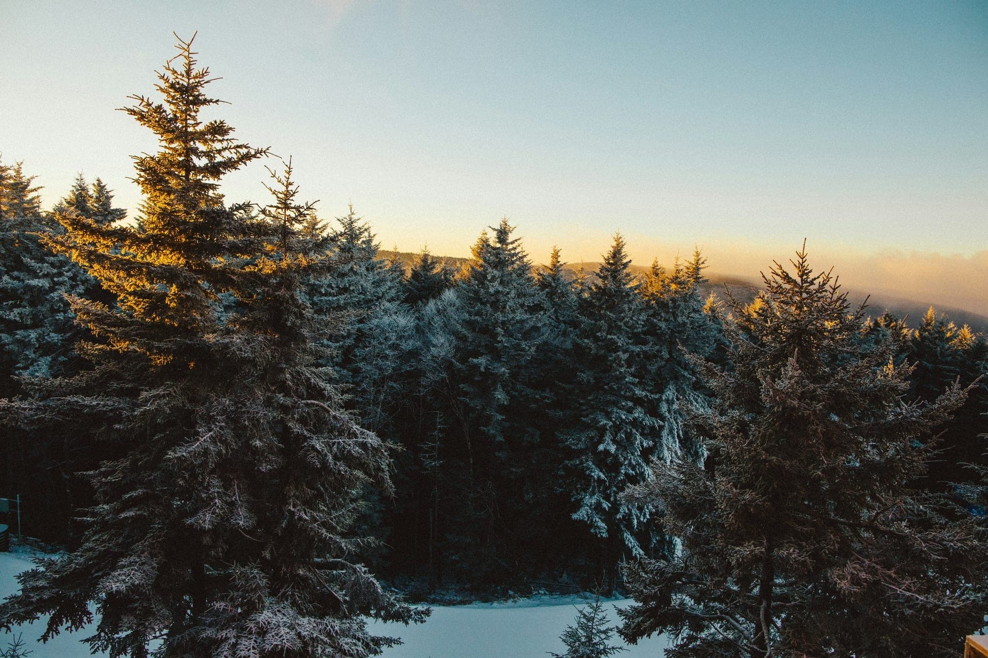 Snowshoe, WV