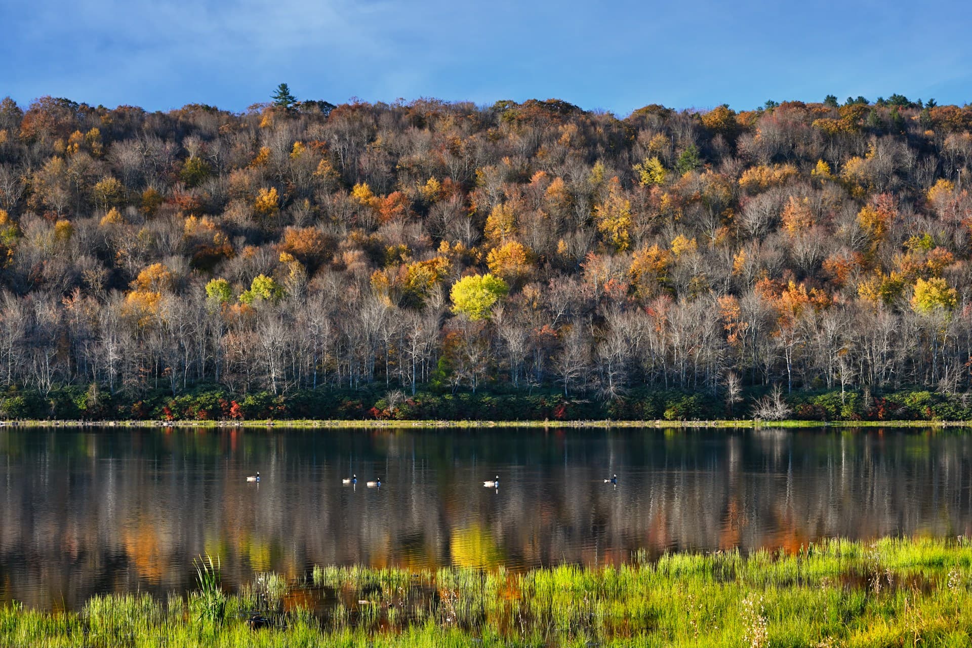 Poconos, PA