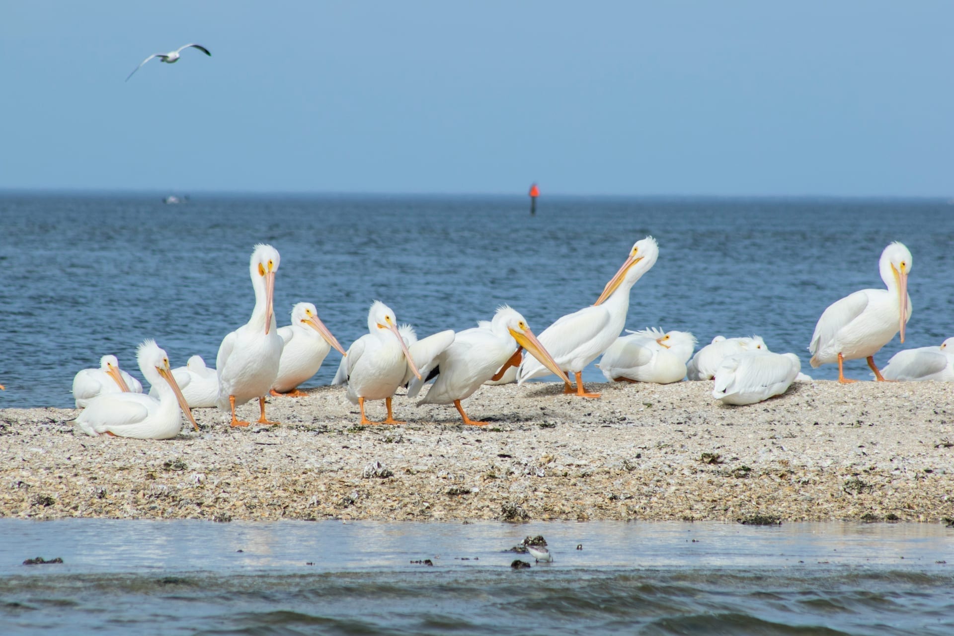 Cedar Key, FL