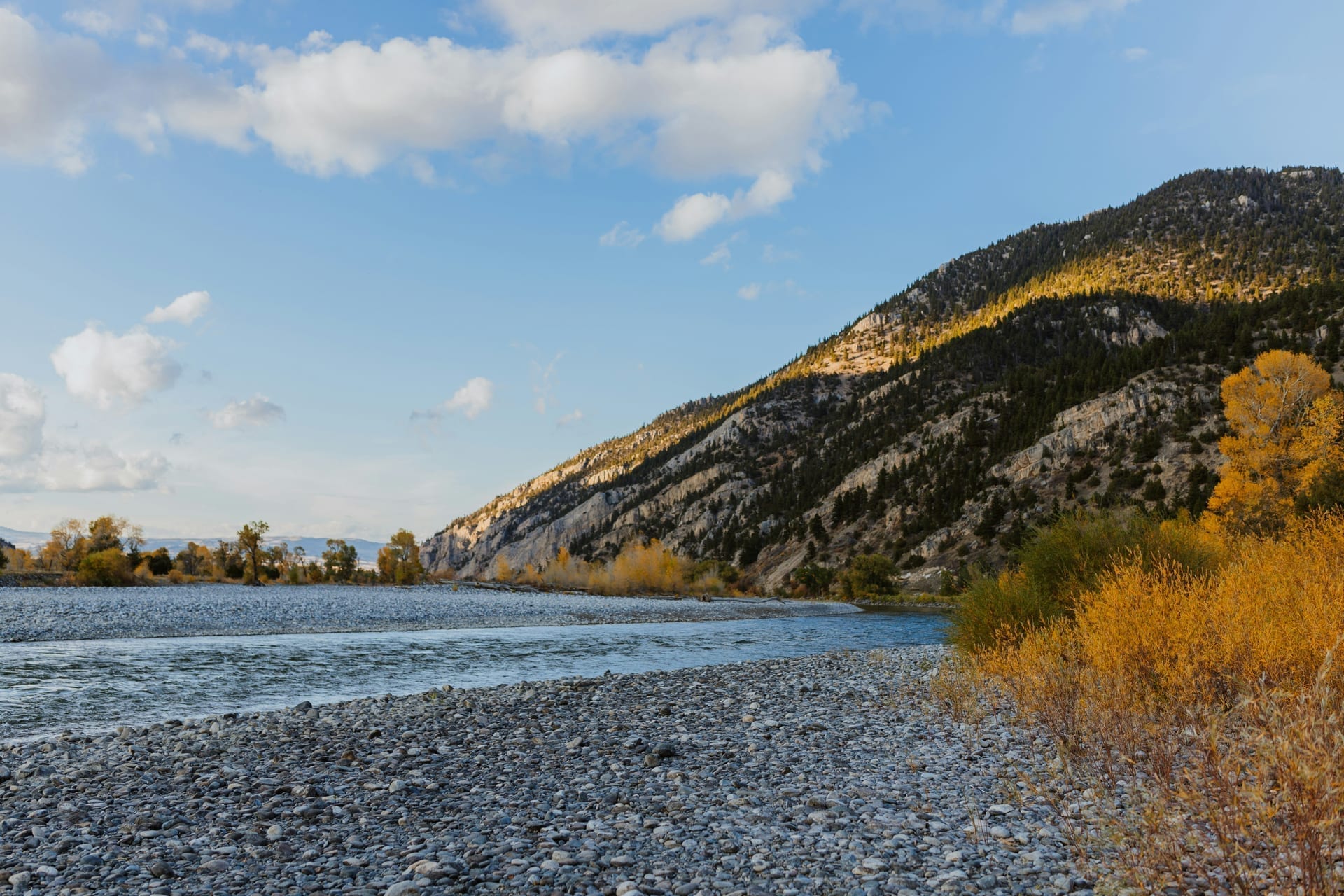 Livingston, MT