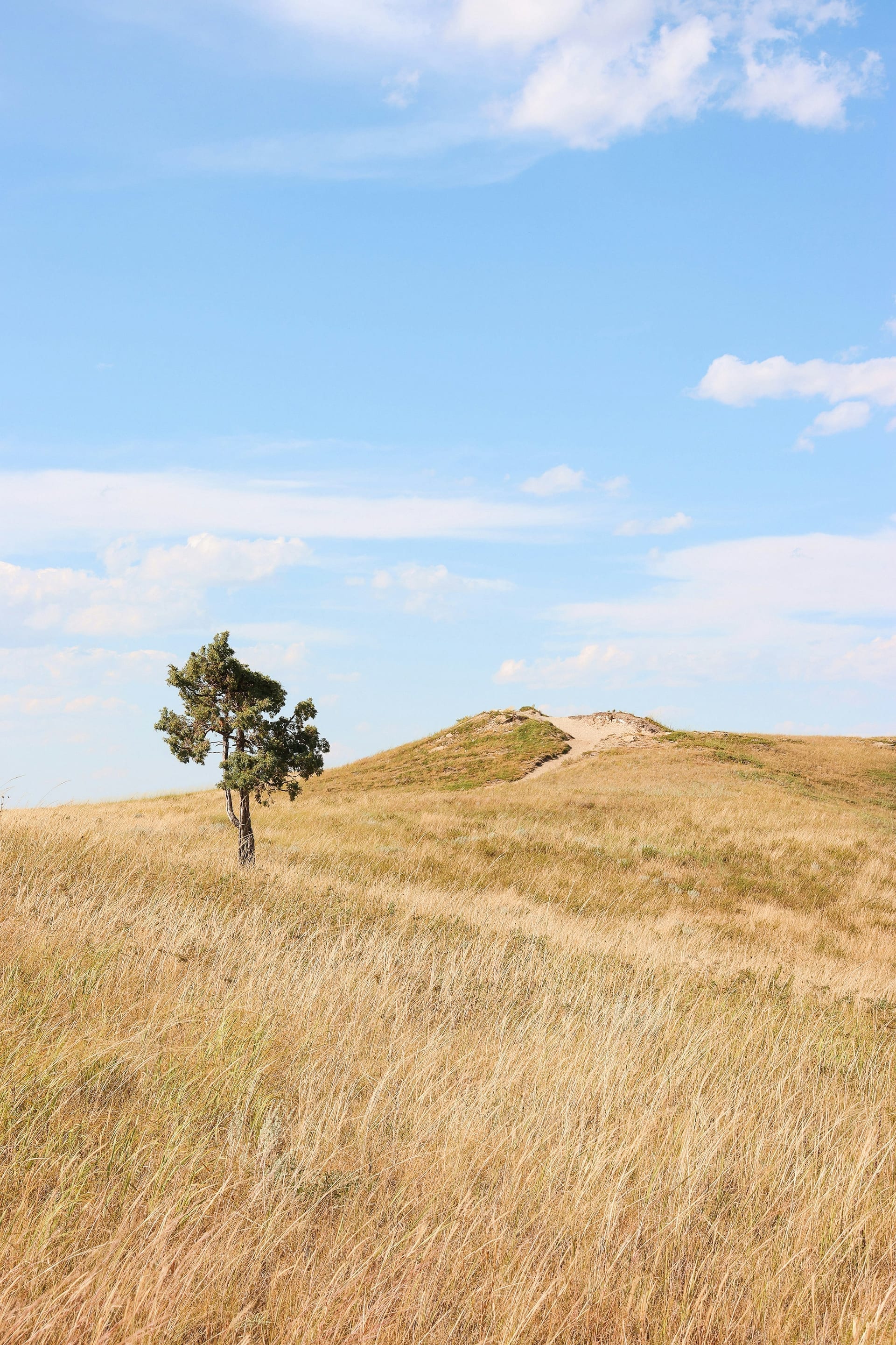 North Dakota