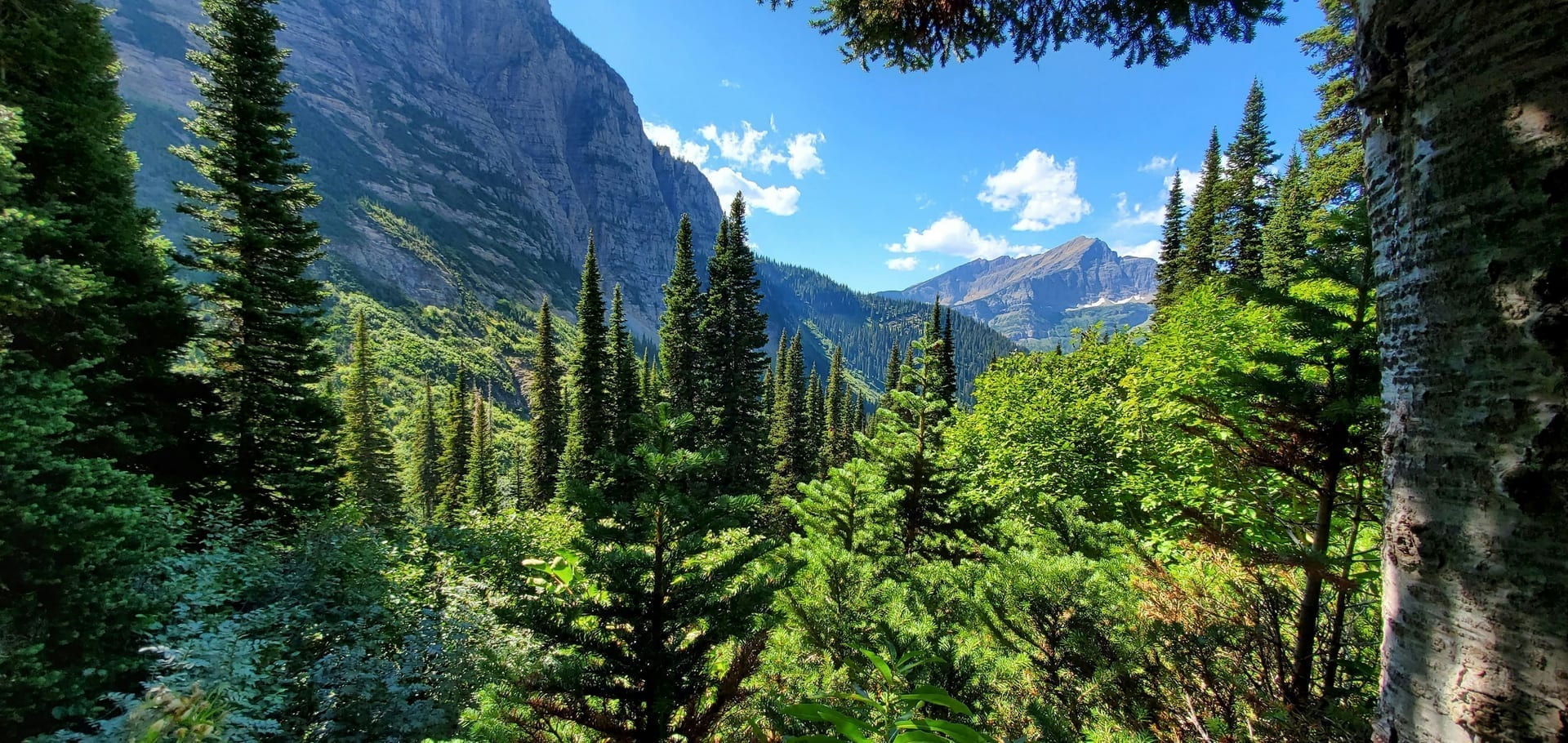 West Glacier, MT