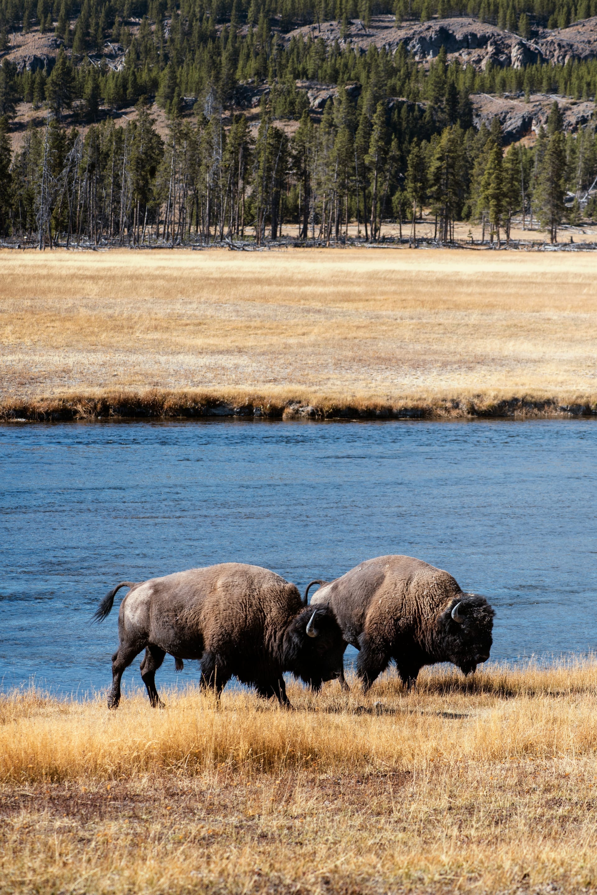 West Yellowstone, MT
